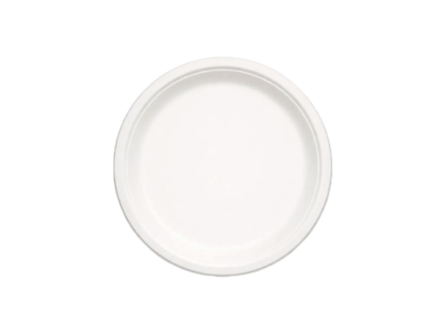 PLATO CARTON KRAFT 21cm